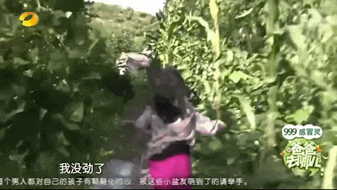 【情感】网友云南偶遇郭涛父子,被19岁石头的帅气善良惊到!全网掀起回忆杀(组图) - 21