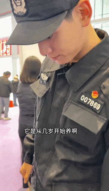 小帅哥发视频炫耀家里来猫了，结果评论区网友关注点全在他身上...猫：那我呢？是配角？（组图） - 14
