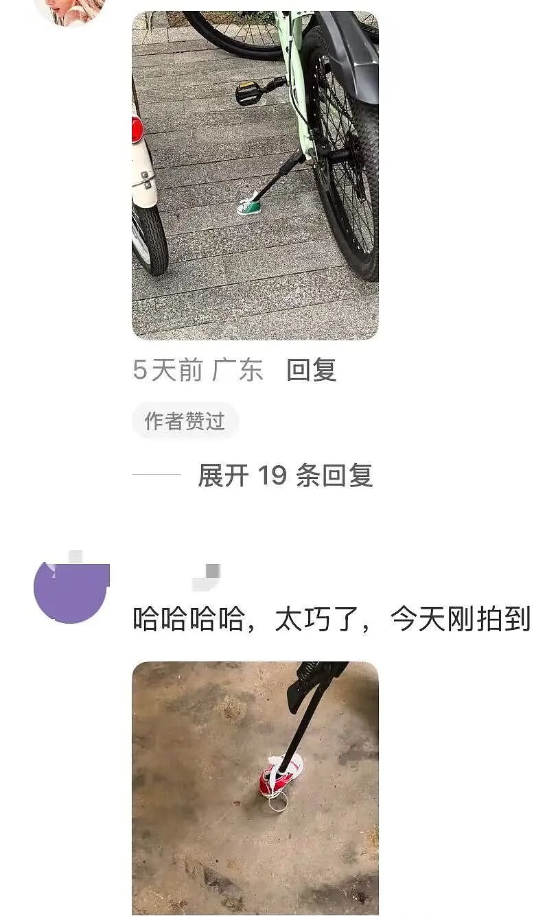 【爆笑】“当律师遇到了用文言文交流的客户…？”哈哈哈咨询是按字数收费吗！（组图） - 41