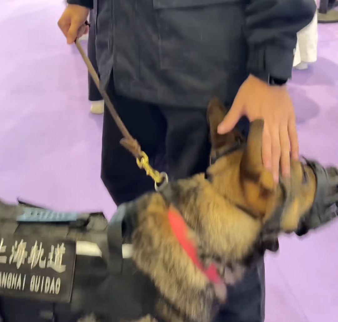 小帅哥发视频炫耀家里来猫了，结果评论区网友关注点全在他身上...猫：那我呢？是配角？（组图） - 19