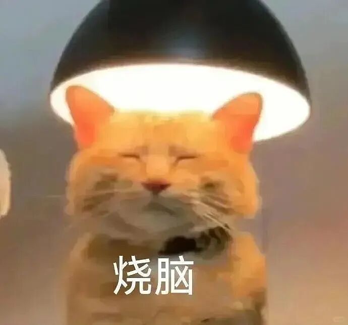 【宠物】爸爸以为三花猫跑出门了，当场抱回来，结果现在家里有两只同款猫，网友一看图笑疯：异父异母双胞胎姐妹？（组图） - 15