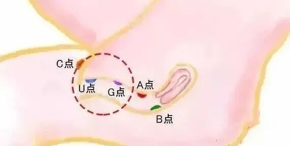 【两性】完美的高潮技巧,让她的爱液喷个不停(组图) - 8