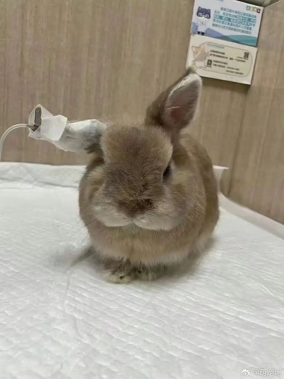 【爆笑】“打车遇上司机睡着时该怎么办...?”哈哈哈你以为老一辈上车就和司机唠嗑是为啥!(组图) - 80