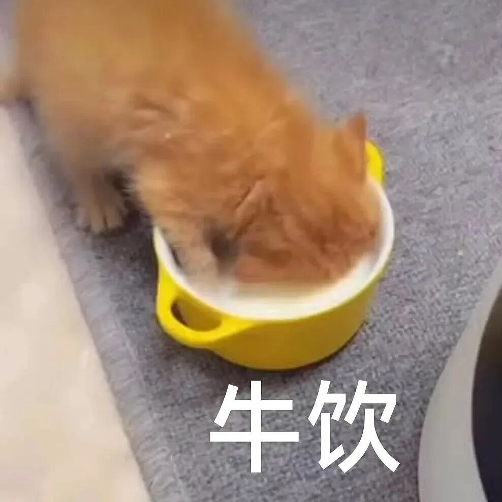 【宠物】妹子花6000给猫割双眼皮,网友怒喷她虐猫…结果曝光之前的照片才懂:不割眼睛要瞎啊!!是在救咪!(组图) - 18