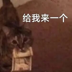 【宠物】妹子花6000给猫割双眼皮,网友怒喷她虐猫…结果曝光之前的照片才懂:不割眼睛要瞎啊!!是在救咪!(组图) - 19