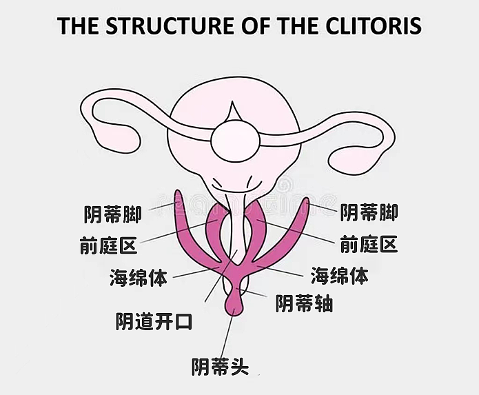 【两性】完美的高潮技巧,让她的爱液喷个不停(组图) - 2