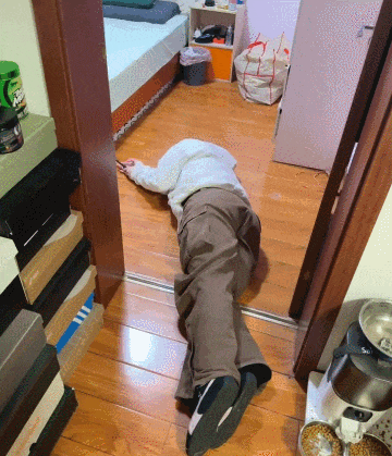 【宠物】当男朋友第一次来做客时，家里的猫这种反应：你是我妈妈带回来的猎物吗？（组图） - 10