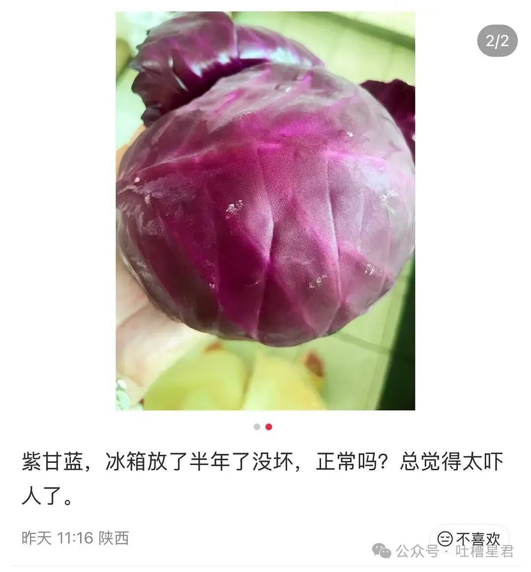 【爆笑】“打车不小心注册成了司机…？”哈哈哈不敢笑点外卖注册半天我成了骑手！（组图） - 28