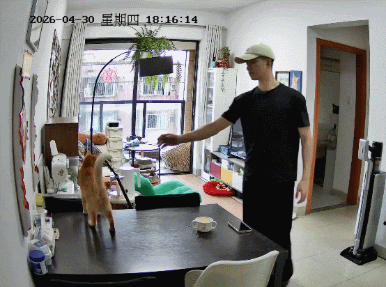 【宠物】小哥吐槽猫天天飞来飞去,他只有抚养权没有抚摸权,网友本来不信,一看图:这猫老家是峨眉山的吧! - 5