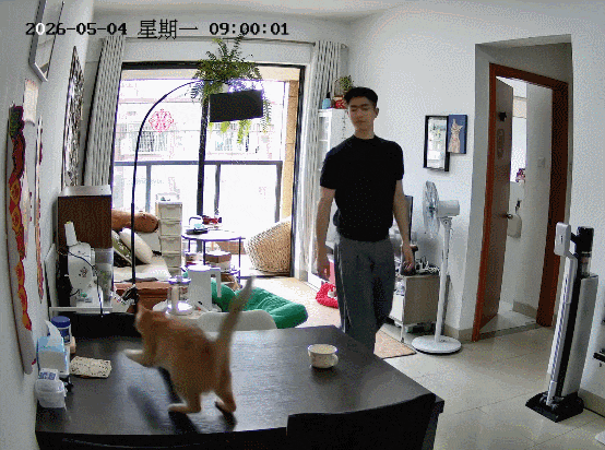 【宠物】小哥吐槽猫天天飞来飞去,他只有抚养权没有抚摸权,网友本来不信,一看图:这猫老家是峨眉山的吧! - 4