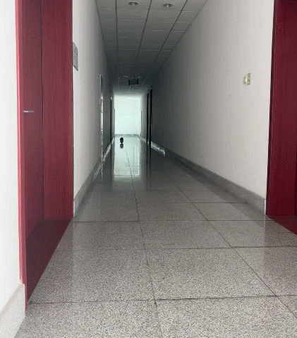 【宠物】小哥吐槽猫天天飞来飞去,他只有抚养权没有抚摸权,网友本来不信,一看图:这猫老家是峨眉山的吧! - 13