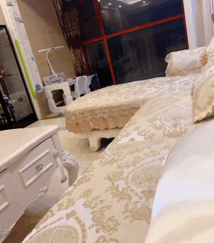 【宠物】小哥吐槽猫天天飞来飞去,他只有抚养权没有抚摸权,网友本来不信,一看图:这猫老家是峨眉山的吧! - 12