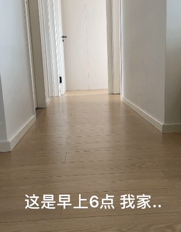 【宠物】小哥吐槽猫天天飞来飞去,他只有抚养权没有抚摸权,网友本来不信,一看图:这猫老家是峨眉山的吧! - 11