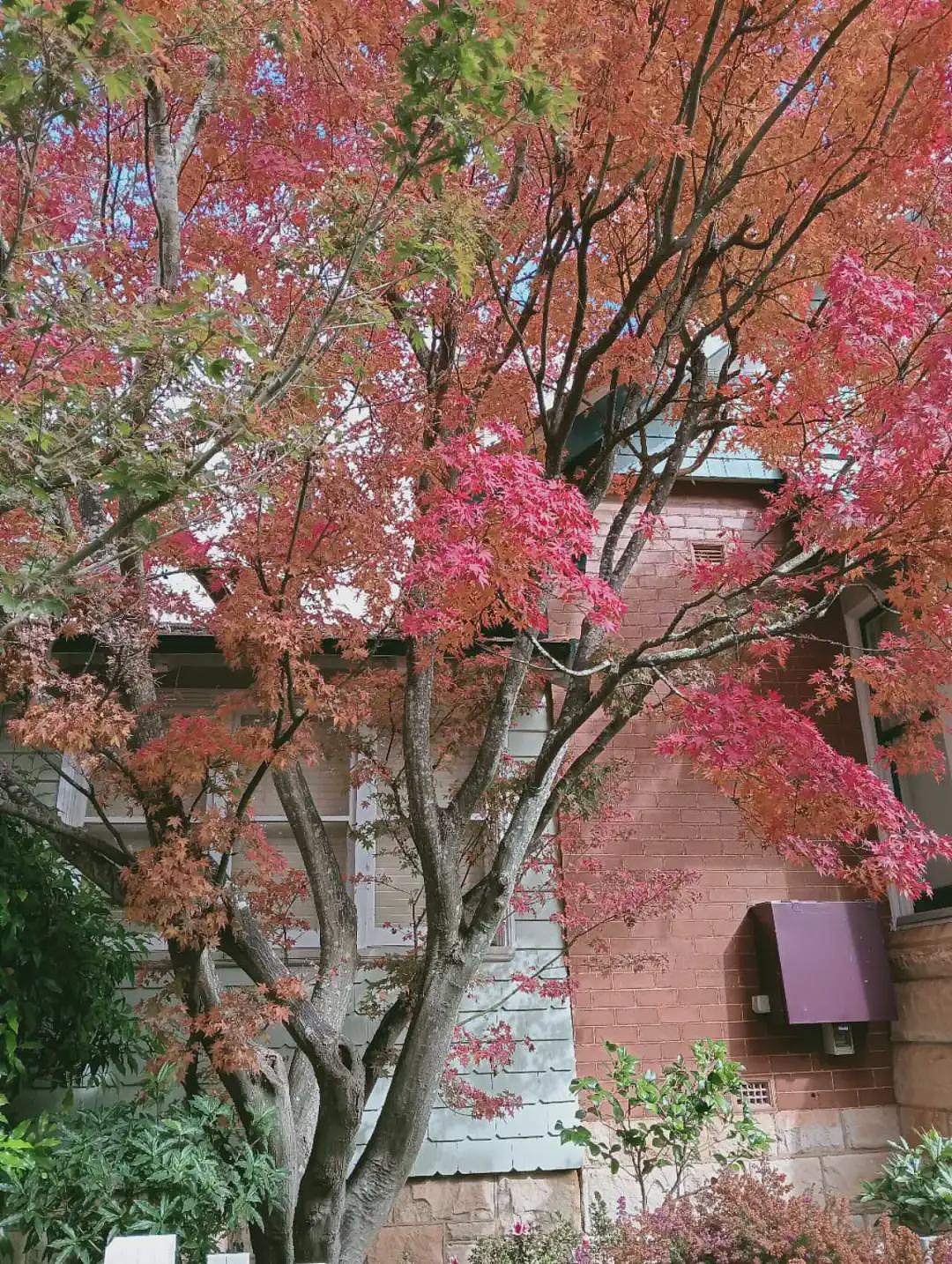 萝拉小镇赏枫之行（组图） - 16