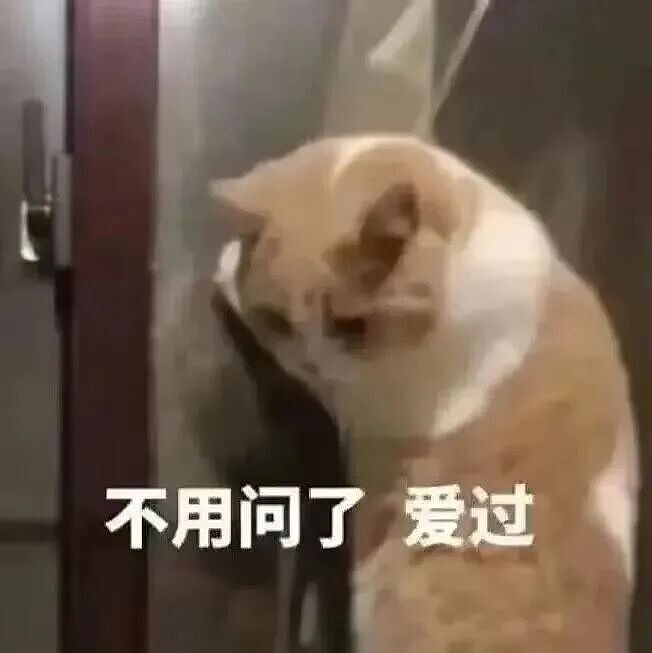 【宠物】主人手意外骨折,医生说睡觉的话要把手垫高,正愁怎么办时小猫就钻过来:来,把手放在我背上 - 4
