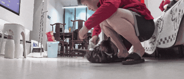 【宠物】主人手意外骨折,医生说睡觉的话要把手垫高,正愁怎么办时小猫就钻过来:来,把手放在我背上 - 13