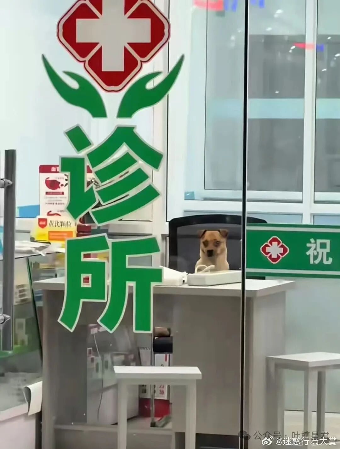 【爆笑】“分手三年的前男友突然加我微信…？”哈哈哈这下前任变前科了！（组图） - 68