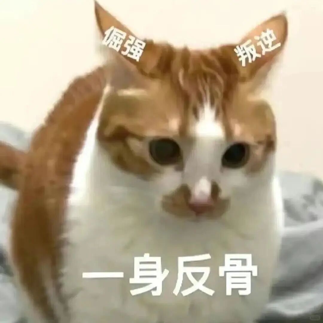 【宠物】主人手意外骨折,医生说睡觉的话要把手垫高,正愁怎么办时小猫就钻过来:来,把手放在我背上 - 17