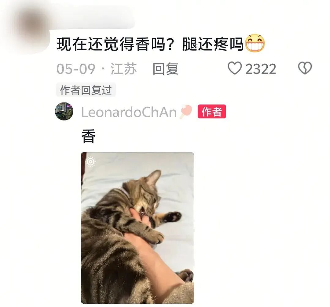 【宠物】主人手意外骨折,医生说睡觉的话要把手垫高,正愁怎么办时小猫就钻过来:来,把手放在我背上 - 19