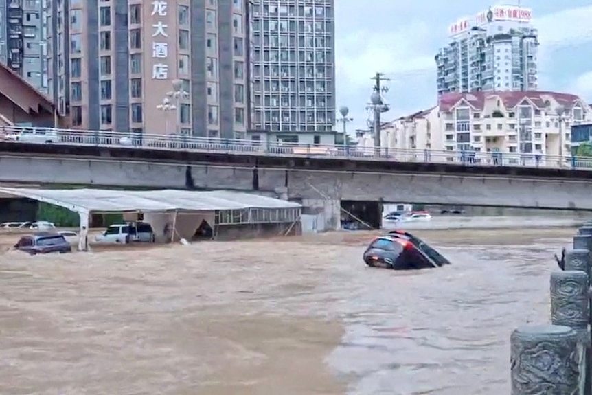 普京开启访华行程,中俄贸易与天然气管道谈判备受关注(组图) - 2