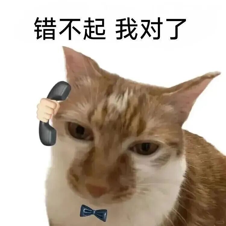 【宠物】主人手意外骨折,医生说睡觉的话要把手垫高,正愁怎么办时小猫就钻过来:来,把手放在我背上 - 11