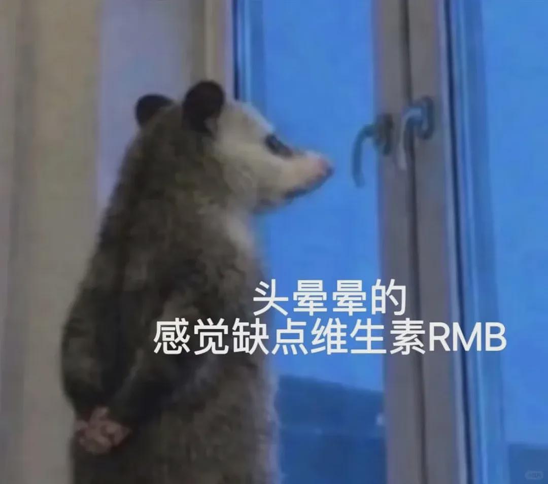 【宠物】笑鼠，这个负鼠表情包繁殖得太快了 - 4