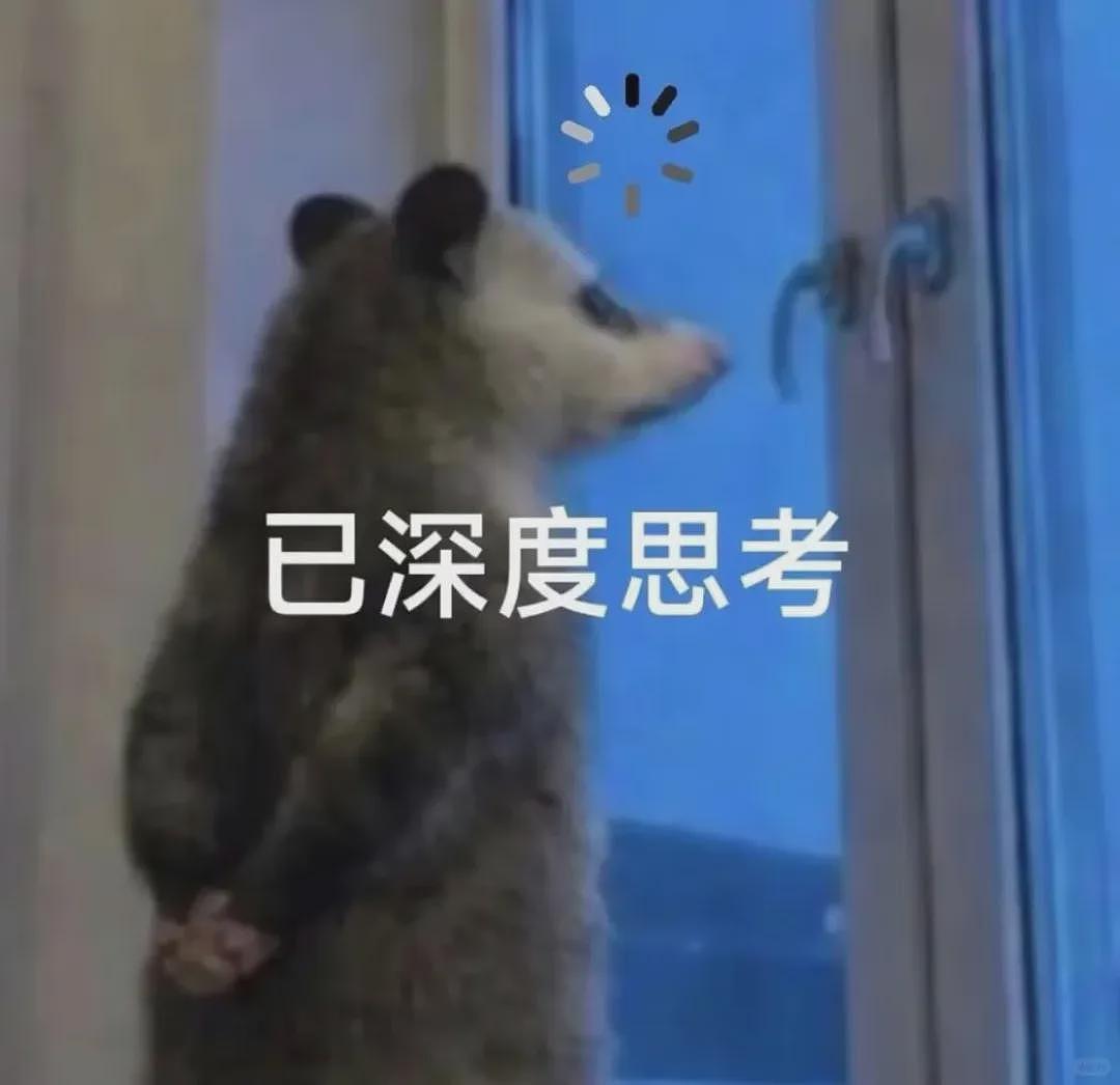 【宠物】笑鼠，这个负鼠表情包繁殖得太快了 - 10