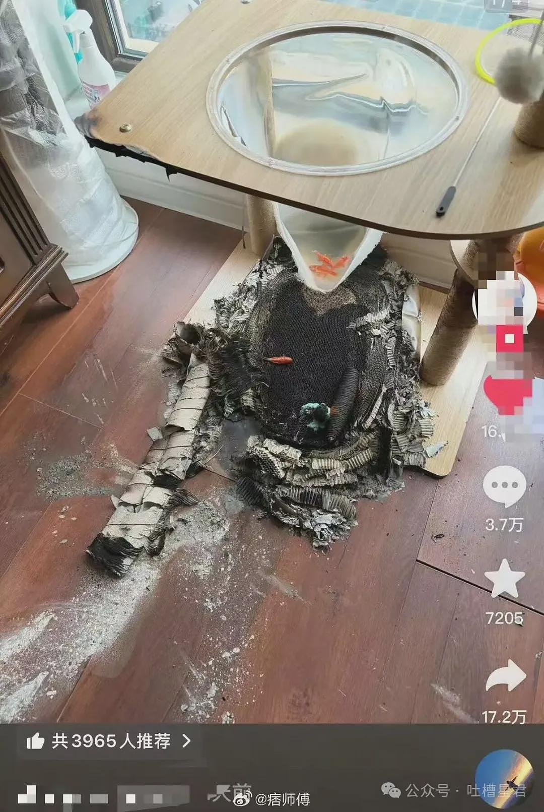 【爆笑】“男同事怀疑领导给他递咖啡是爱上他了…？”啊啊啊求求你不要再发桃花癫了！ - 57