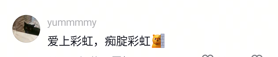 【宠物】网友遇到小狗在甩水,没想到甩水的过程中甩出了彩虹,真的太治愈了…狗子:人,你看,我会变彩虹! - 14