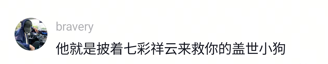 【宠物】网友遇到小狗在甩水,没想到甩水的过程中甩出了彩虹,真的太治愈了…狗子:人,你看,我会变彩虹! - 13