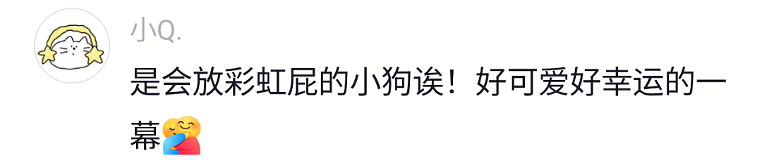 【宠物】网友遇到小狗在甩水,没想到甩水的过程中甩出了彩虹,真的太治愈了…狗子:人,你看,我会变彩虹! - 12