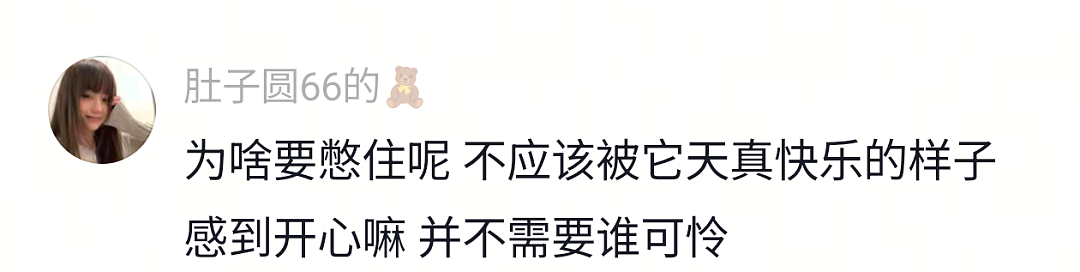 【宠物】网友遇到小狗在甩水,没想到甩水的过程中甩出了彩虹,真的太治愈了…狗子:人,你看,我会变彩虹! - 2
