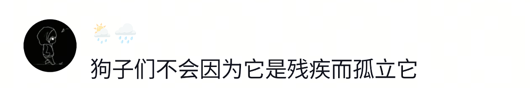 【宠物】网友遇到小狗在甩水,没想到甩水的过程中甩出了彩虹,真的太治愈了…狗子:人,你看,我会变彩虹! - 5