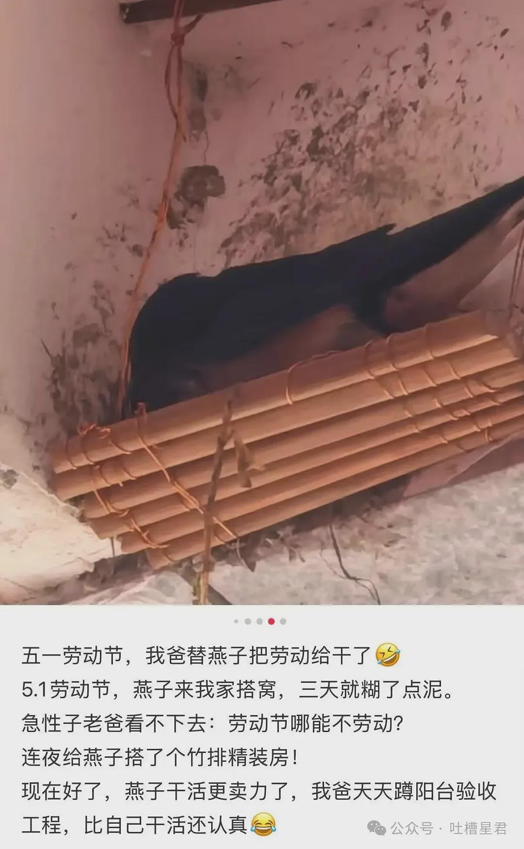 【爆笑】“27岁这点存款正常吗…？”哈哈哈看完心里暖暖的终于回到了穷人频道！ - 20