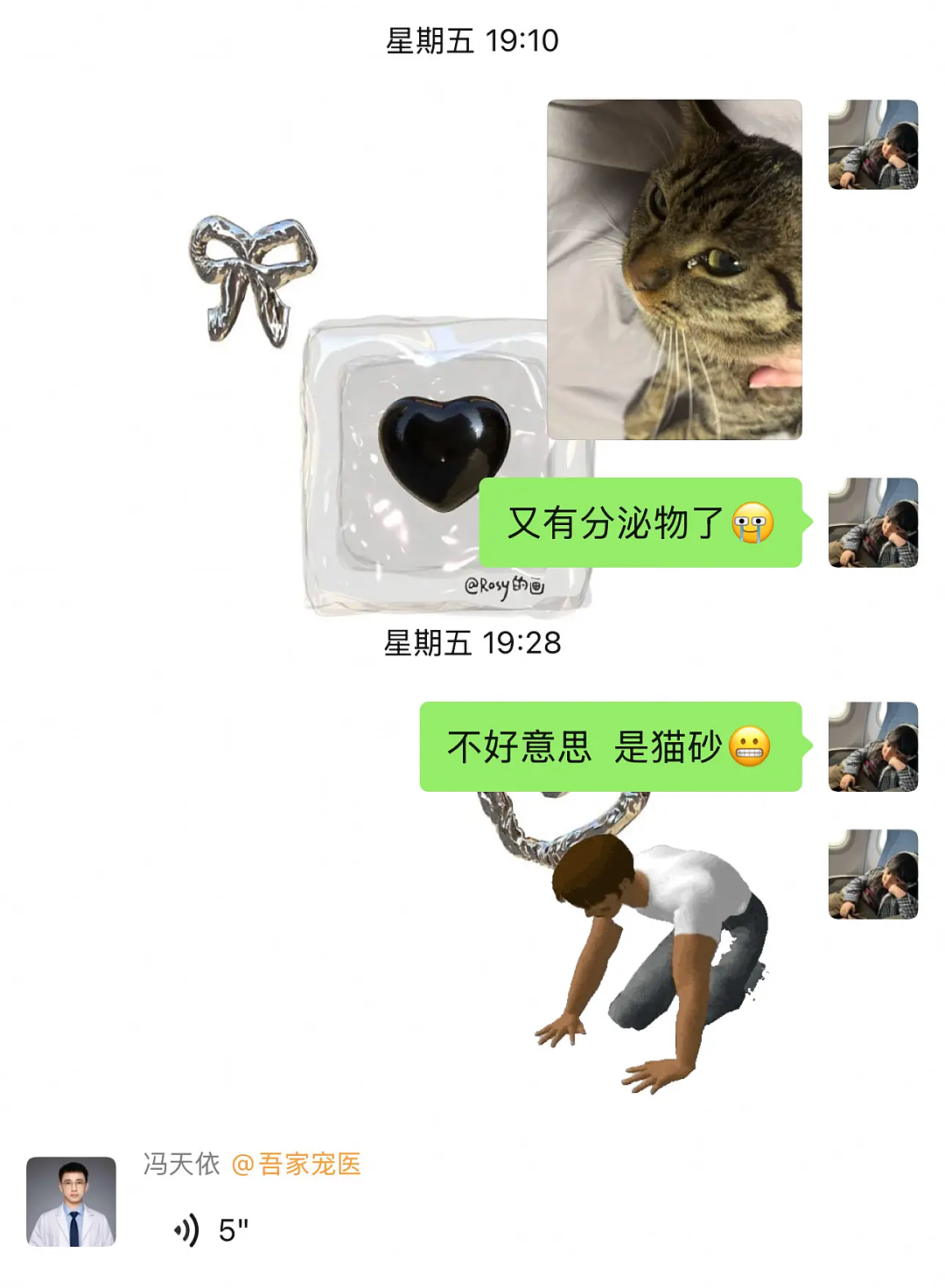 【宠物】小姐姐说猫砂盆有一大滩血，连医生也被吓到，结果几分钟破案后被气笑了... - 12