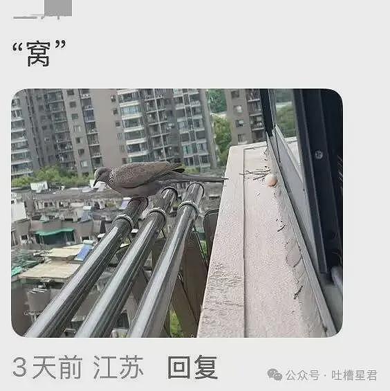 【爆笑】“27岁这点存款正常吗…？”哈哈哈看完心里暖暖的终于回到了穷人频道！ - 21