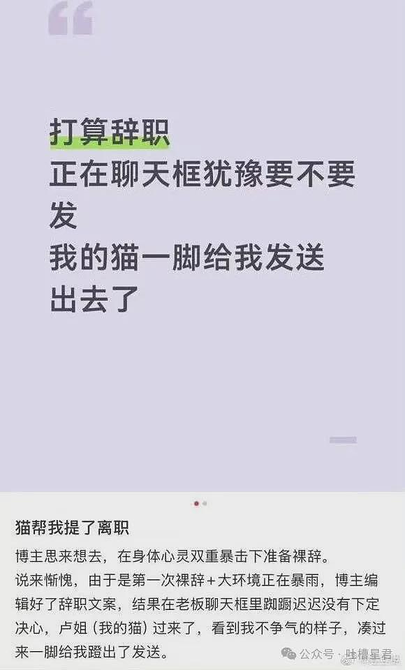 【爆笑】“27岁这点存款正常吗…？”哈哈哈看完心里暖暖的终于回到了穷人频道！ - 43