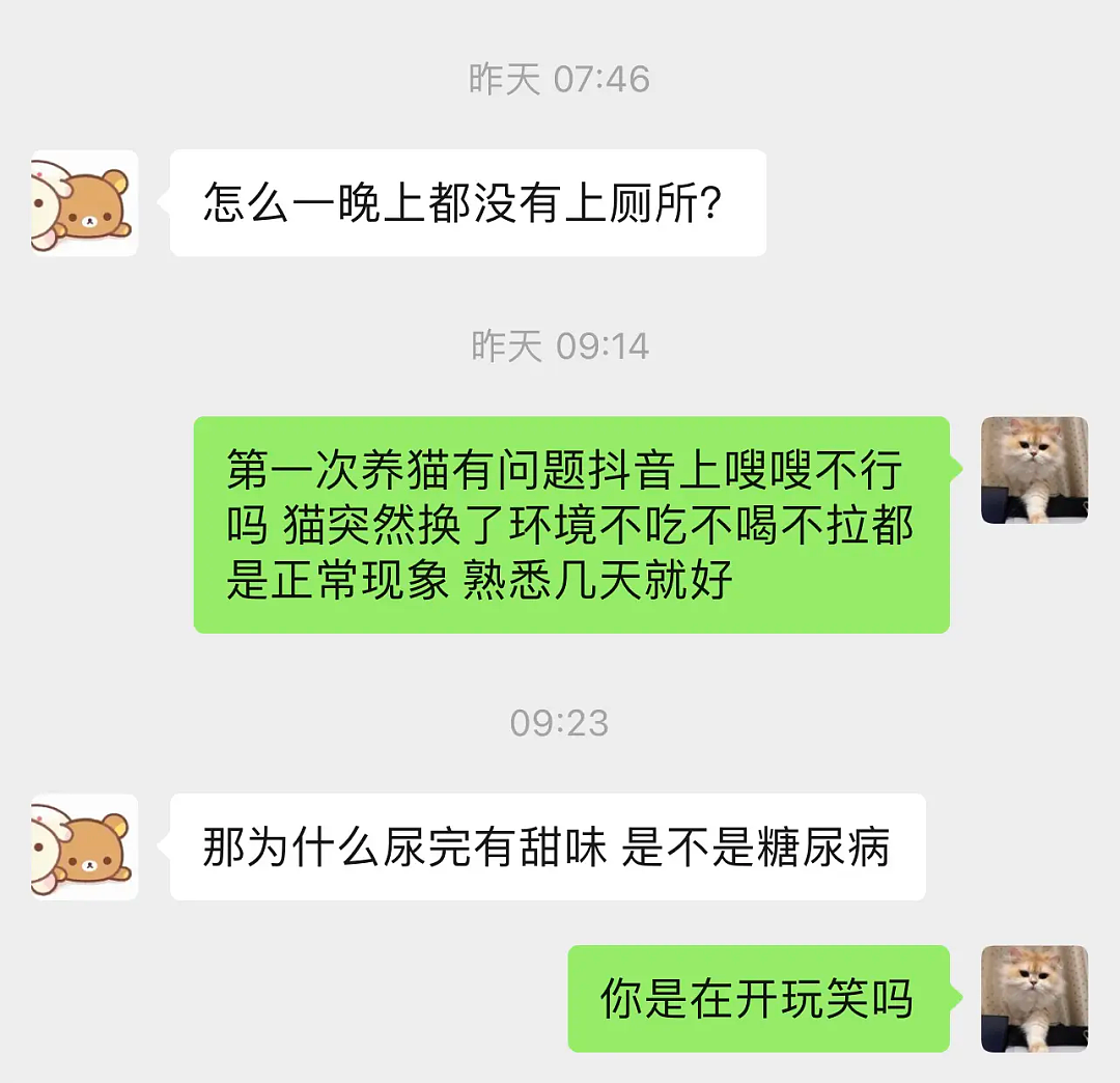 【宠物】小姐姐说猫砂盆有一大滩血，连医生也被吓到，结果几分钟破案后被气笑了... - 18