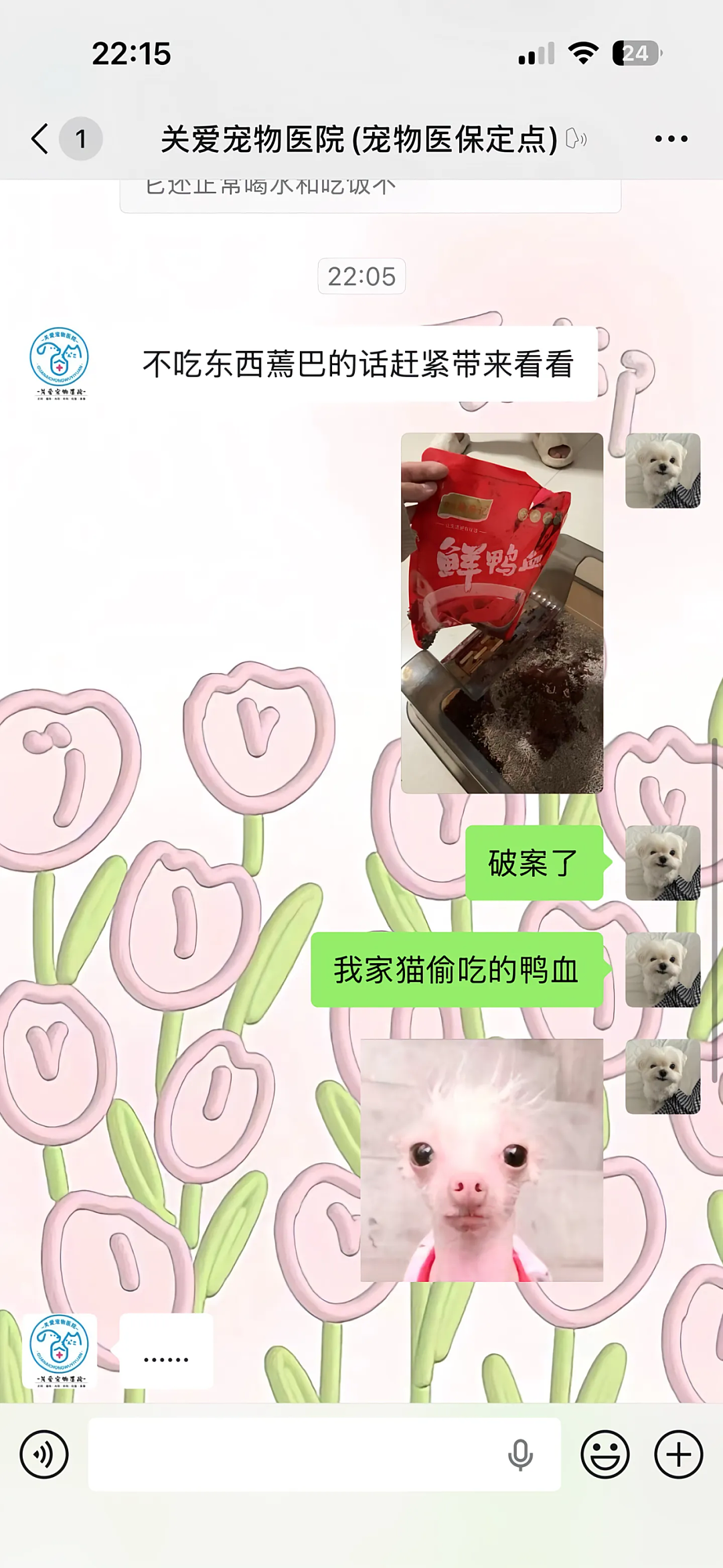 【宠物】小姐姐说猫砂盆有一大滩血，连医生也被吓到，结果几分钟破案后被气笑了... - 3