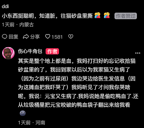 【宠物】小姐姐说猫砂盆有一大滩血，连医生也被吓到，结果几分钟破案后被气笑了... - 8