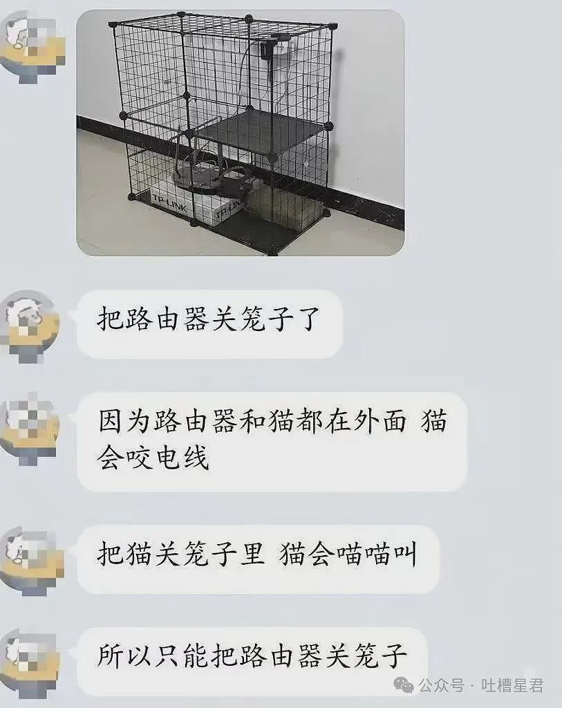【爆笑】“27岁这点存款正常吗…？”哈哈哈看完心里暖暖的终于回到了穷人频道！ - 49