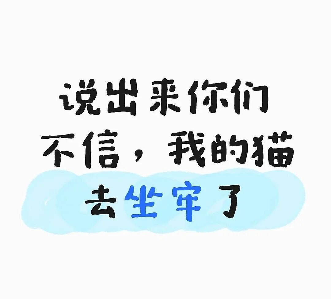 【宠物】小猫即将离世,主人放已故的爸爸叫它的视频,一个在录音里喊一个在生命尽头答!咪:是爸爸来接我了吗...(组图) - 7