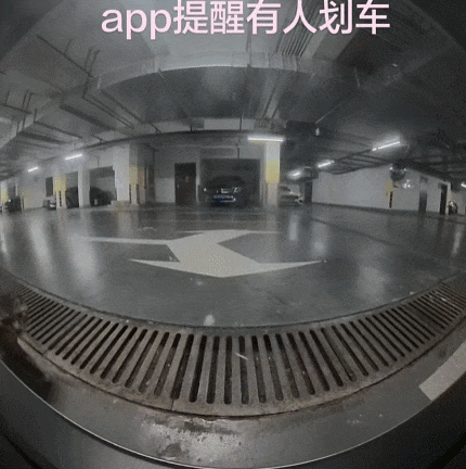 【宠物】小猫即将离世,主人放已故的爸爸叫它的视频,一个在录音里喊一个在生命尽头答!咪:是爸爸来接我了吗...(组图) - 13