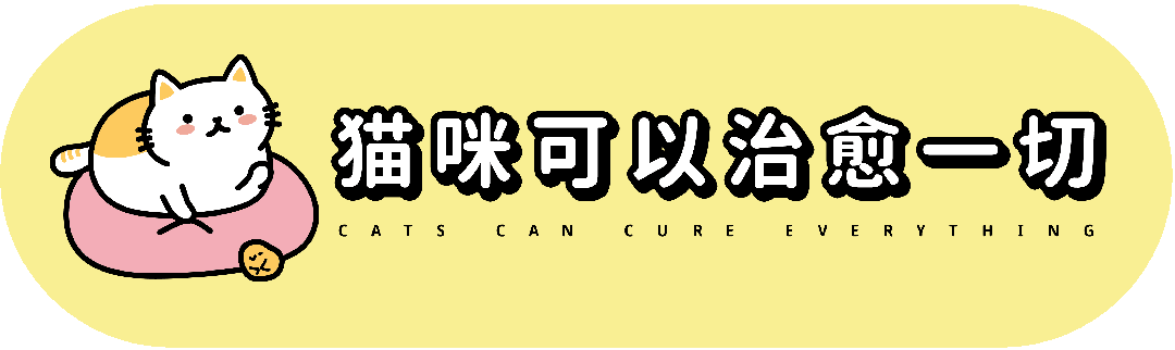 【宠物】小猫即将离世,主人放已故的爸爸叫它的视频,一个在录音里喊一个在生命尽头答!咪:是爸爸来接我了吗...(组图) - 1