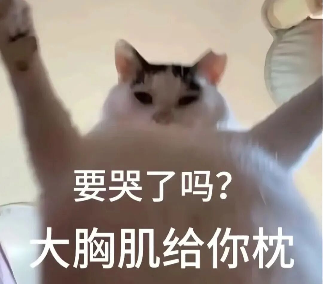 【宠物】小猫即将离世,主人放已故的爸爸叫它的视频,一个在录音里喊一个在生命尽头答!咪:是爸爸来接我了吗...(组图) - 42