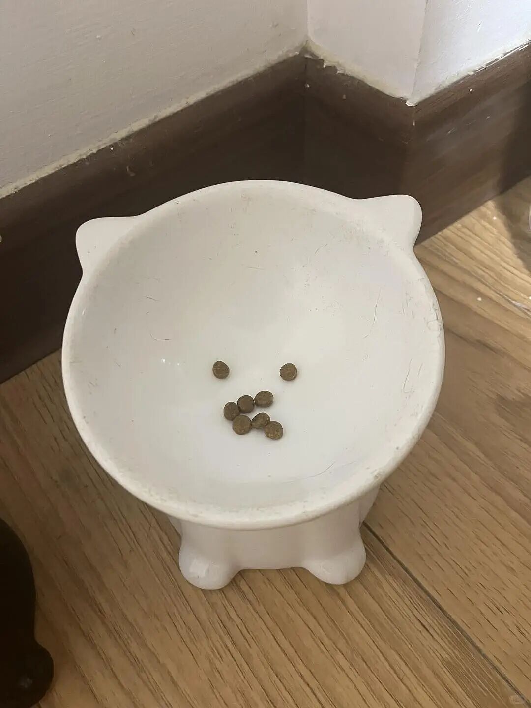【宠物】外卖小哥去送餐，流浪猫爬上无人看守的外卖箱，撅着屁股掏“自助餐”，网友：是哈基米自己点的外卖捏（组图） - 4