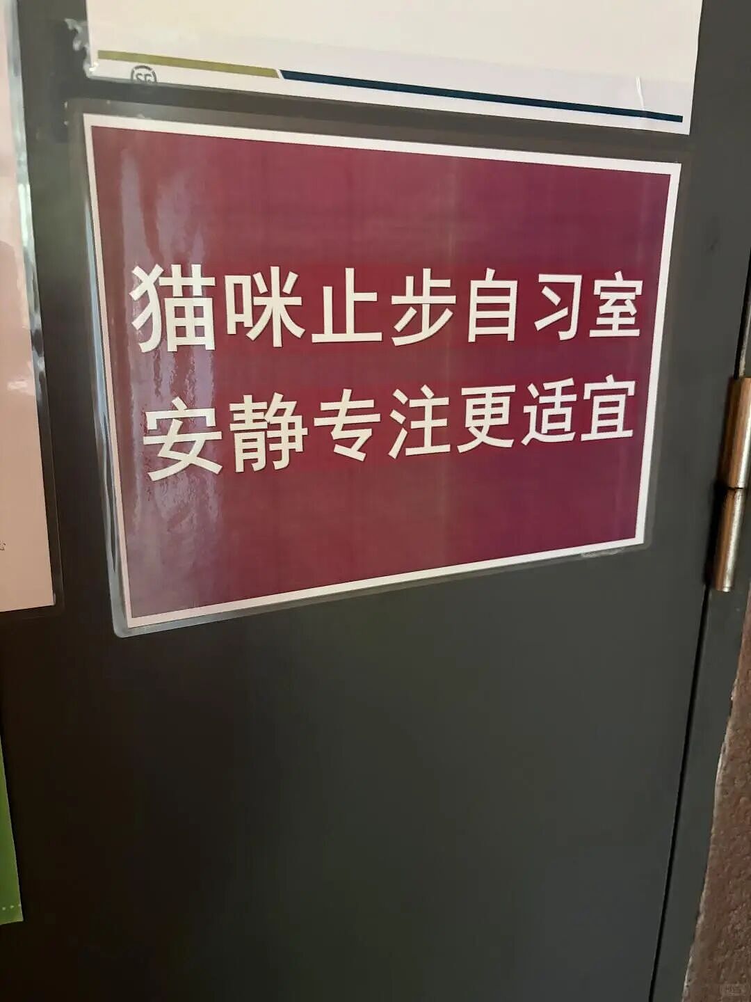 【宠物】外卖小哥去送餐，流浪猫爬上无人看守的外卖箱，撅着屁股掏“自助餐”，网友：是哈基米自己点的外卖捏（组图） - 3