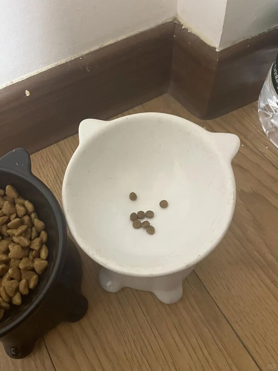 【宠物】外卖小哥去送餐，流浪猫爬上无人看守的外卖箱，撅着屁股掏“自助餐”，网友：是哈基米自己点的外卖捏（组图） - 5