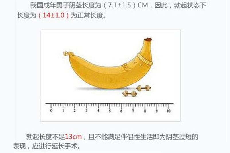 【两性】“鼓掌” 能减肥？尺寸越大越好？这些两性羞羞冷知识，看完脸都红了…（组图） - 2
