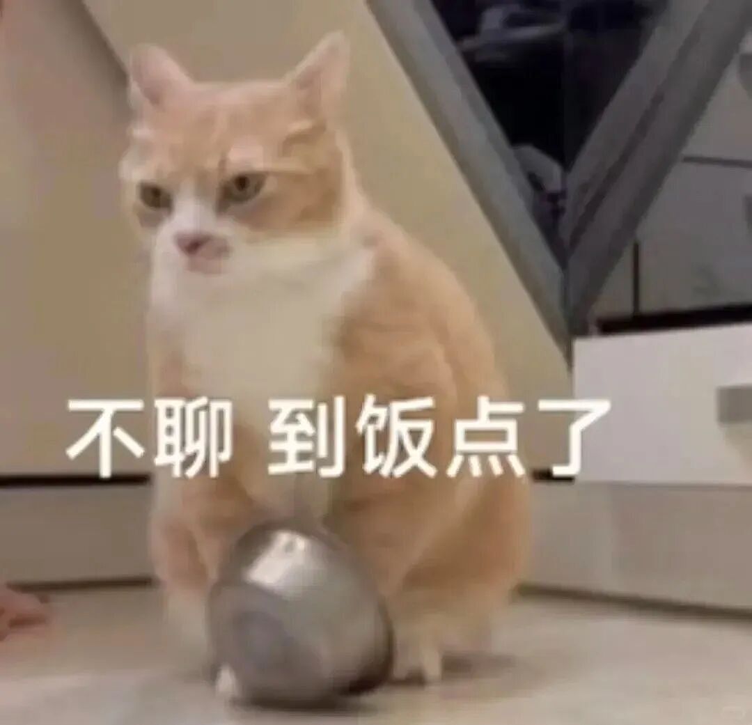 【宠物】猫为什么总是在碗里留一颗猫粮?背后原因让人意外,网友狂夸:咪咪真棒啊!(组图) - 16